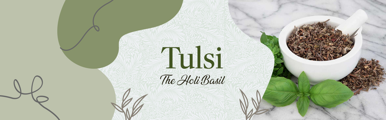 Tulsi