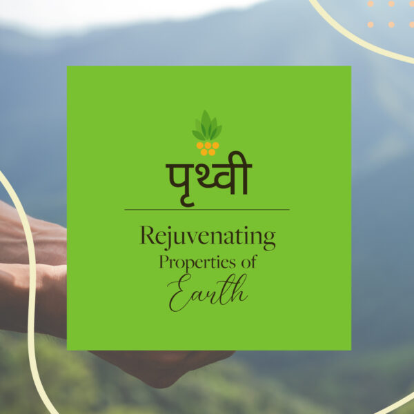 pruthvi-earth-element-Ayurveda-Sarveda