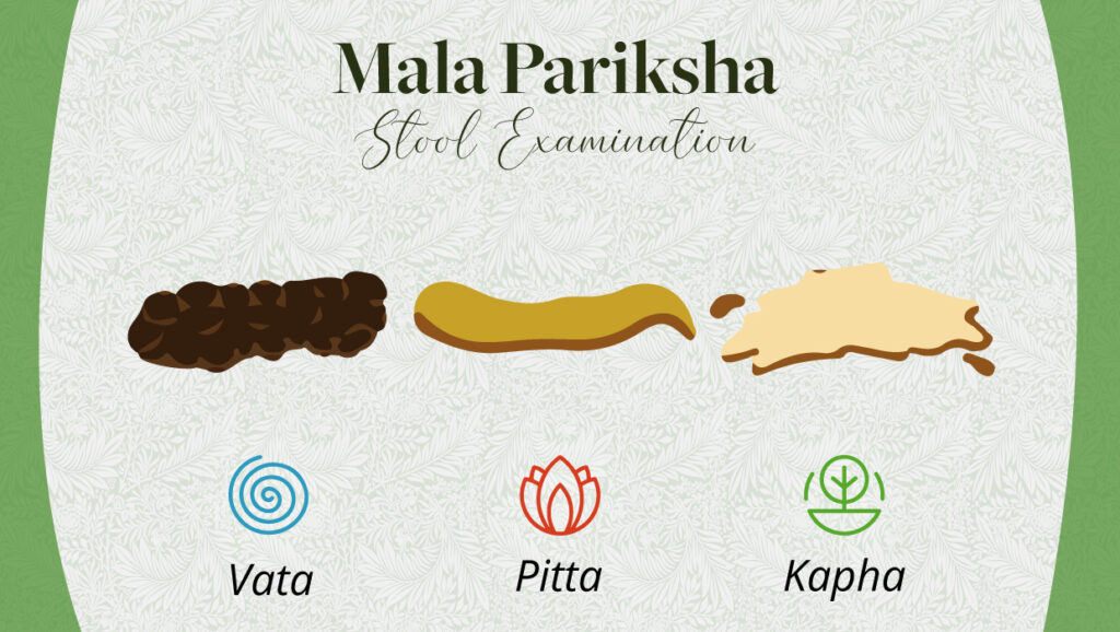 Ashthavidha Pariksha Eight diagnostic tools of Ayurveda Sarveda